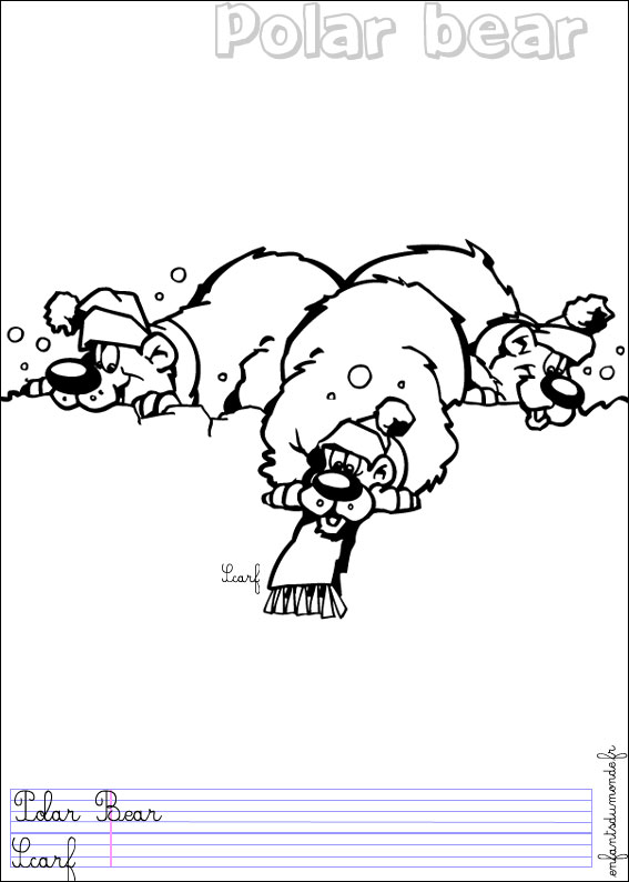 coloriage ours polaire 1